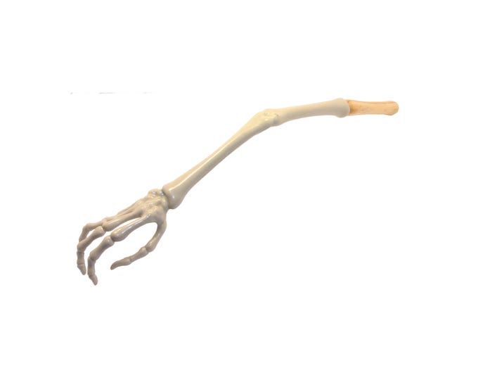 Personalized Skeleton Hand Back Scratcher | Custom Engraved Gift Idea for Doctor or Nurse