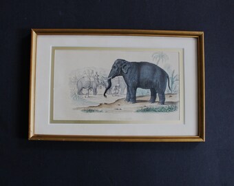 Framed Antique Lithograph of an Elephant by Ange Louis(Janet Lange)-Free Shipping