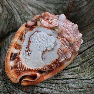 Vintage Hand Carved Cameo on Helmet Shell from Italy