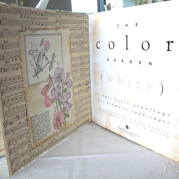 THE COLOR GARDEN book, journal, scrapbooking