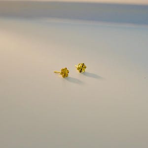 Eleganta snöflingeörhängen: Örhängen i 14K guldpläterat sterlingsilver bild 4