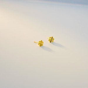 Eleganta snöflingeörhängen: Örhängen i 14K guldpläterat sterlingsilver bild 2