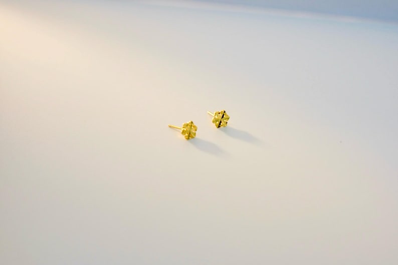 Eleganta snöflingeörhängen: Örhängen i 14K guldpläterat sterlingsilver bild 2