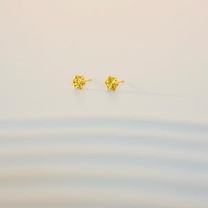 Eleganta snöflingeörhängen: Örhängen i 14K guldpläterat sterlingsilver bild 7