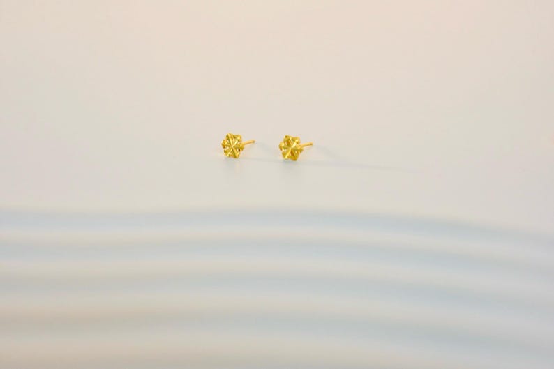 Eleganta snöflingeörhängen: Örhängen i 14K guldpläterat sterlingsilver bild 7