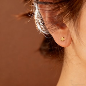 Eleganta snöflingeörhängen: Örhängen i 14K guldpläterat sterlingsilver bild 1