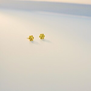 Eleganta snöflingeörhängen: Örhängen i 14K guldpläterat sterlingsilver bild 3
