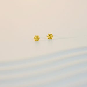 Eleganta snöflingeörhängen: Örhängen i 14K guldpläterat sterlingsilver bild 6