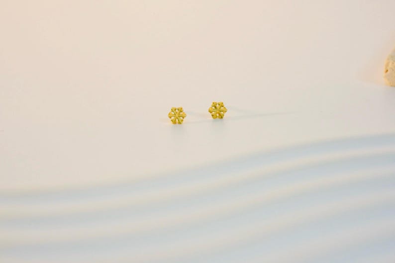 Eleganta snöflingeörhängen: Örhängen i 14K guldpläterat sterlingsilver bild 6