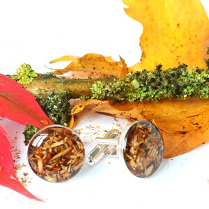 May include: A pair of cufflinks with a silver base and round glass tops filled with brown and orange wood chips. The cufflinks are displayed on a white surface with autumn leaves and moss.