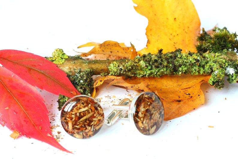 May include: A pair of cufflinks with a silver base and round glass tops filled with brown and orange wood chips. The cufflinks are displayed on a white surface with autumn leaves and moss.