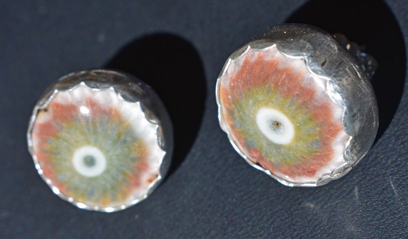 Brown and Green Solar Quartz Post Earrings