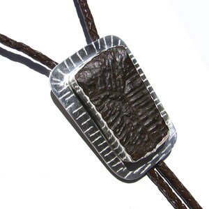 May include: A silver bolo tie with a brown fossilized trilobite set in a rectangular frame. The tie is made of brown leather cord.