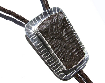 May include: A silver bolo tie with a brown fossilized trilobite set in a rectangular frame. The tie is made of brown leather cord.