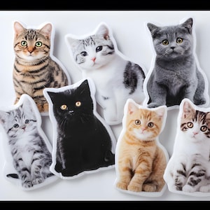 Personalized Pet Pillow From Photo, Free Delivery, Pet Memorial Gift, Custom Stuffed Animal, Pet Lover Gift, 3D Shaped Pillow, Dog, Cat, Fun