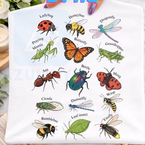 Vintage Bug Learning PNG Gift for kids Watercolor Insect Chart Educational Nature Bug Lover outfit Entomology Illustration |Digital Download