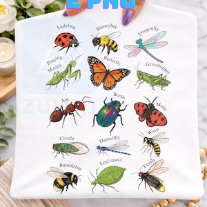 May include: A white fabric surface featuring a colorful illustration of various insects including a ladybug, honeybee, dragonfly, praying mantis, butterfly, grasshopper, ant, beetle, moth, cicada, damselfly, wasp, bumblebee, leaf insect, and firefly.