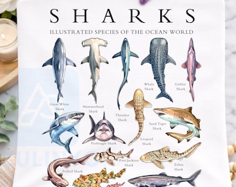 Vintage Hai Arten PNG Haie Illustrierte Arten der Ocean World Aquarium Geschenk Meeresbiologie Clipart Haifisch-Liebhaber |Digitaler Download