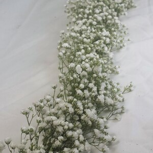 May include: A long, winding garland of white baby's breath flowers. The delicate blooms are clustered together on thin green stems, creating a soft, textured appearance. The background is a plain white surface.