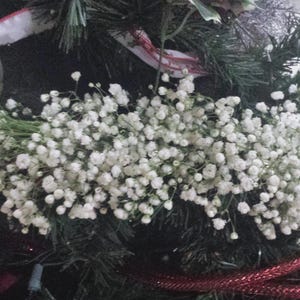 May include: A garland of small, white baby's breath flowers adorns a Christmas tree. The garland is draped over the green branches, with a red and white ribbon and red decorative rope adding color.