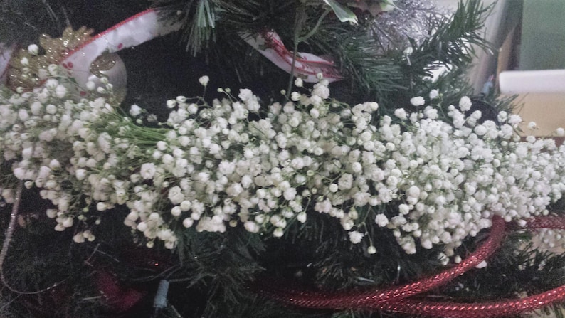May include: A garland of small, white baby's breath flowers adorns a Christmas tree. The garland is draped over the green branches, with a red and white ribbon and red decorative rope adding color.
