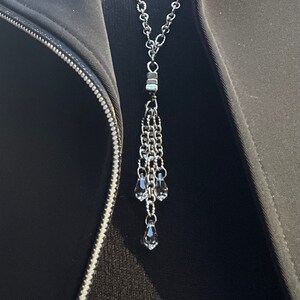 Nut Lariat Necklace with Crystal Tassel image 1