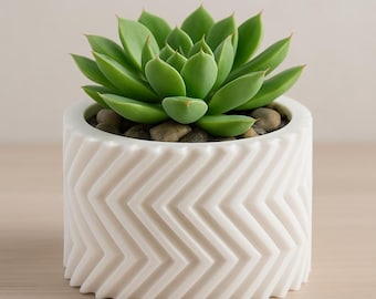 3D Printed Geometric Succulent Planter: Modern Minimalist Desk Decor