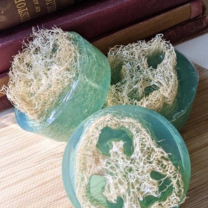 Organically grown loofah sponge exfoliating soap, Sea Minerals scented, spa like experience, earth friendly zero waste vegan glycerin soap