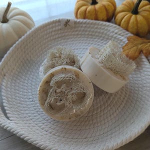 Pumpkin Spice loofah sponge soap, organically grown loofah exfoliating, luxurious creamy bubbles coconut milk and glycerin soap