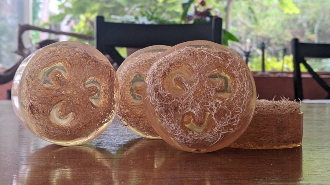 Jasmine and Honeysuckle Organically Grown Loofah Sponge Etsy