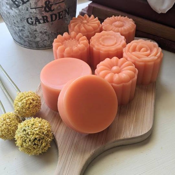 Conditioner Bars, Beach Day scent, compliments shampoo bar, hair loving ingredients, zero waste, environmentally responsible easy for travel