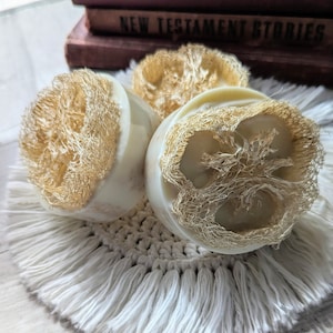 Citrus Bliss loofah sponge soap, organically grown loofah exfoliating, luxurious creamy bubbles goat milk and  glycerin soap