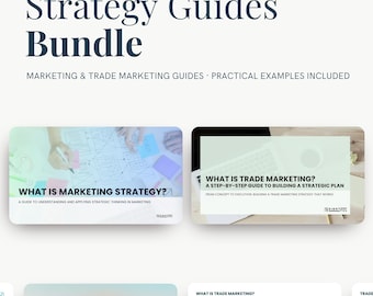 Guías/Paquete/PDF de estrategia de marketing y plan de trade marketing