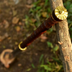 May include: A dark brown wooden walking stick with a gold-colored metal top and bottom ring. The top has a decorative, sunburst-like design. The stick rests on a piece of wood, with a blurred green and brown background.
