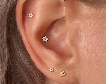 May include: Close-up of an ear adorned with five small, gold-colored star-shaped earrings. Each earring features a central clear stone surrounded by smaller stones, creating a sparkling effect. The earrings are placed along the ear's curves.