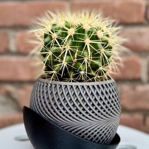 Flexible 3D Printed Toys – Print-in-Place Articulated Models