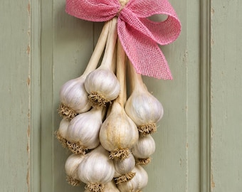 May include: A decorative bundle of dried garlic bulbs tied together with a bright pink burlap ribbon. The garlic heads are off-white with subtle purple hues and fibrous roots, hanging from a central stalk tied with twine at the top.