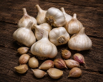 May include: A collection of whole white garlic bulbs and individual garlic cloves arranged together. The bulbs feature papery white skins and visible root ends, while the loose cloves display shades of white, tan, and light purple hues.