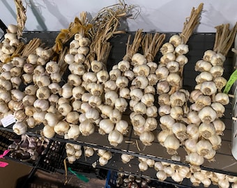 May include: Multiple braided bundles of white garlic bulbs with dried brown stalks arranged on a black wire shelf. Each cluster features numerous round, papery-skinned bulbs with visible root ends, organized in rows for storage or display.