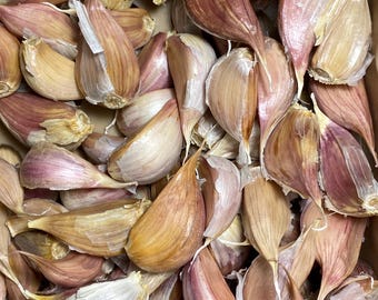 May include: A collection of raw garlic cloves with papery, light brown and purple-streaked skins. The cloves are clustered together, showing their curved, tapered shapes and pointed ends, with some dry, thin skin fragments visible.