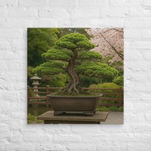 Ancient Bonsai – Japanese Garden Canvas Print | Zen Tree Art with Cherry Blossoms
