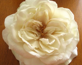 Large 5.5" Cream White Silk Sophia Rose Flower Hair clip