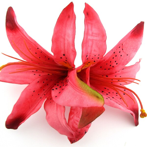 Double 6" Hawaiian Fuchsia Pink Sage Tiger Lily Cheveux Clip