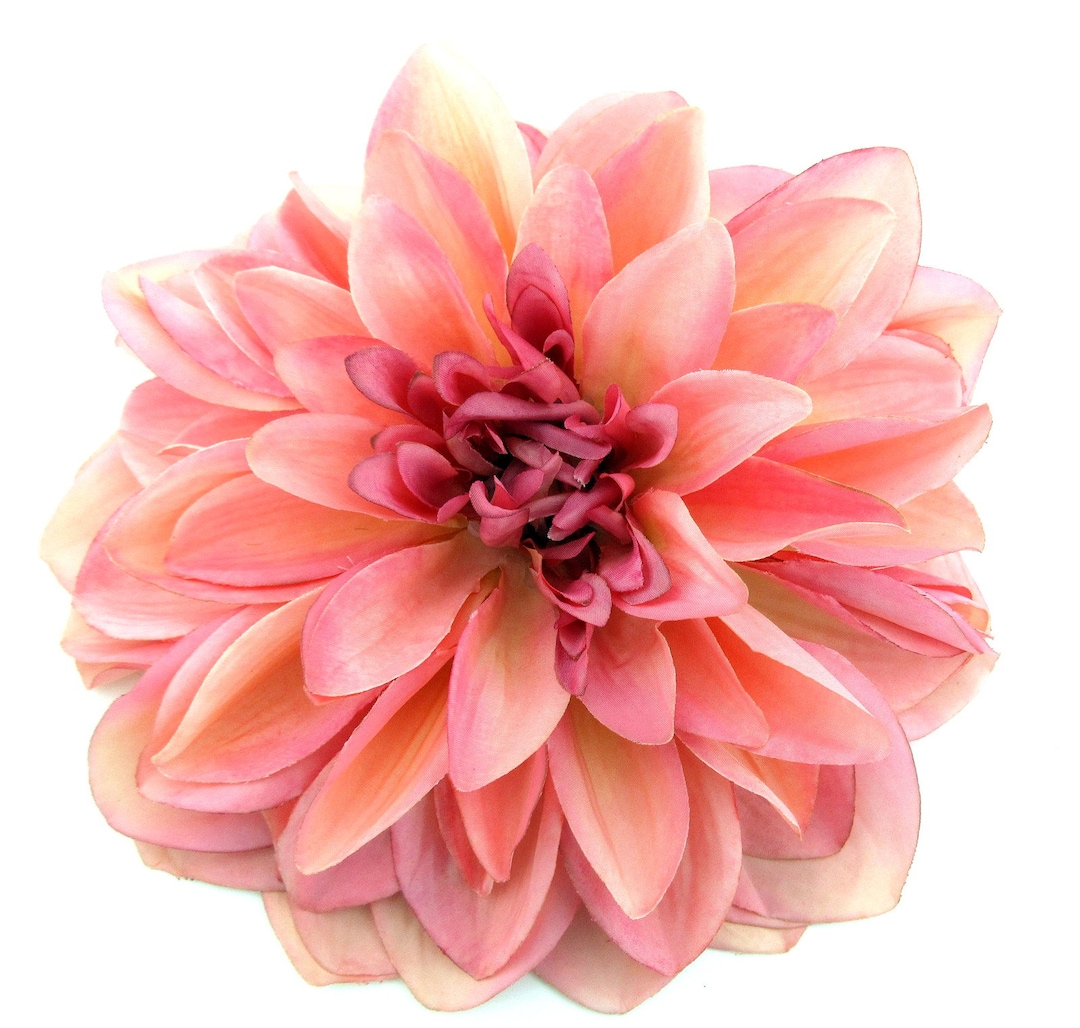 Large Pink Cream Dahlia Silk Flower Brooch Pin 7 Dinner Plate Style Etsy