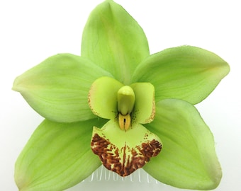 Large Tropical Lime Green Orchid Silk Flower Hair Comb