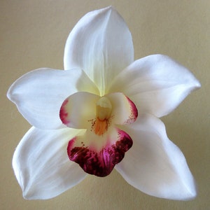 Large Cream White Orchid Silk Flower Brooch Pin