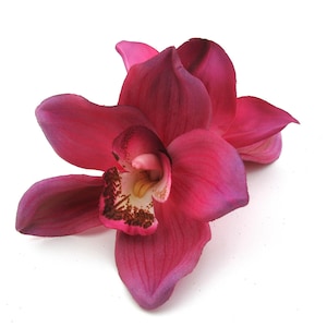 Large Double 4.5" Fuchsia Pink Orchid Poly Silk Flower Hair Clip