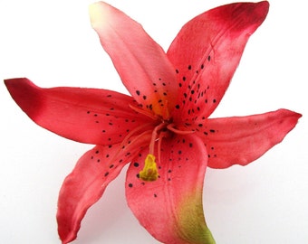 Peut inclure: Une fleur de lys artificielle vibrante, dans des tons de rouge et de rose, parsemée de points noirs. La fleur a un centre jaune et des accents verts sur les pétales, sur fond blanc.