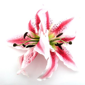 Large Double 7.5 inch Tropical Pink Fuchsia White Tiger Silk Lily Hair Clip