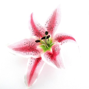 X-Large Tropical 7.5 inch White Fuchsia Tiger Lily Silk Flower Hair Clip